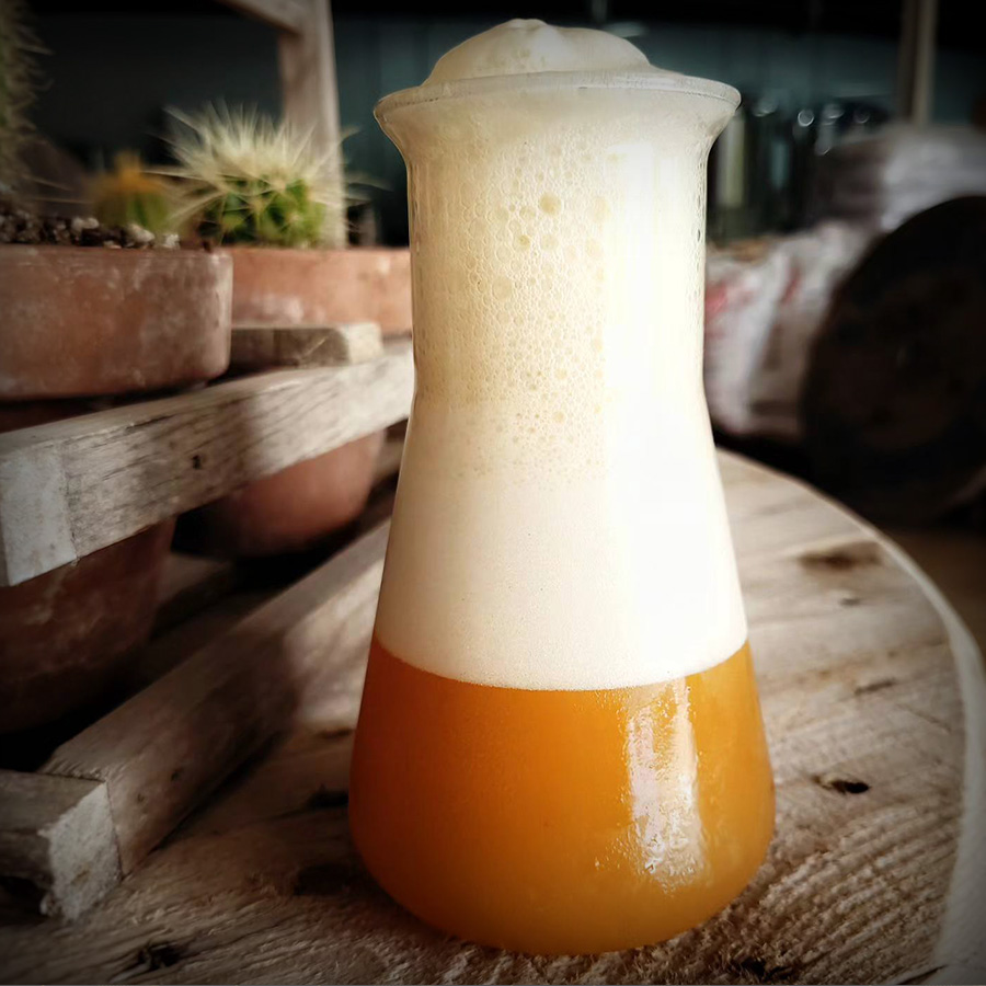bières artisanales (37)